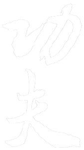 Wushu - Kung Fu
